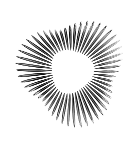 web asset